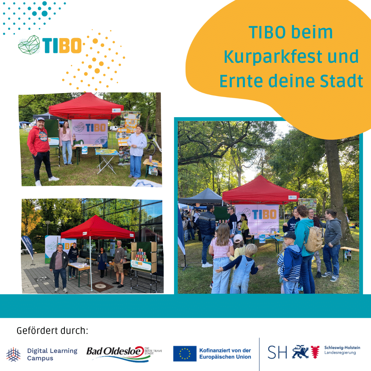 TIBO beim Kurparkfest & Ernte deine Stadt
